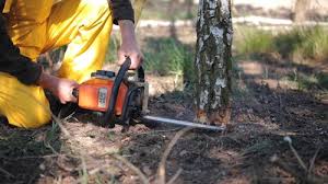 Best Weed Control  in Montgomery, WV