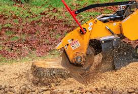 Best Lot and Land Clearing  in Montgomery, WV